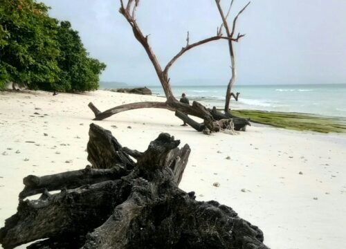 Dream Andaman  5N 6D
