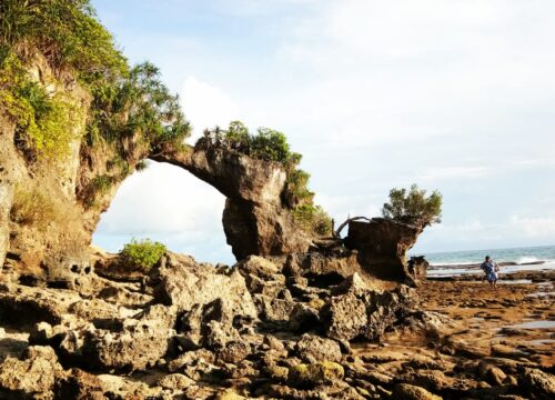 Dream Andaman 8N 9D