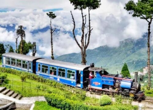 Dooars With Darjeeling 5N 6D