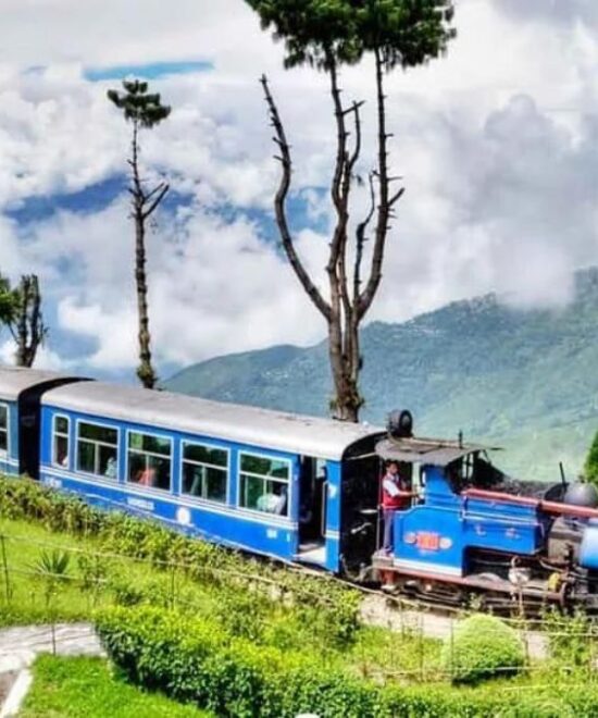 Dooars With Darjeeling 5N 6D