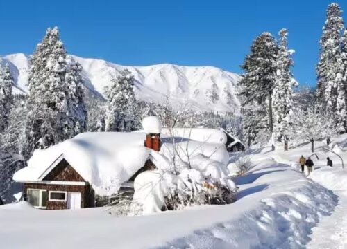 Winter Kashmir 5N 6D